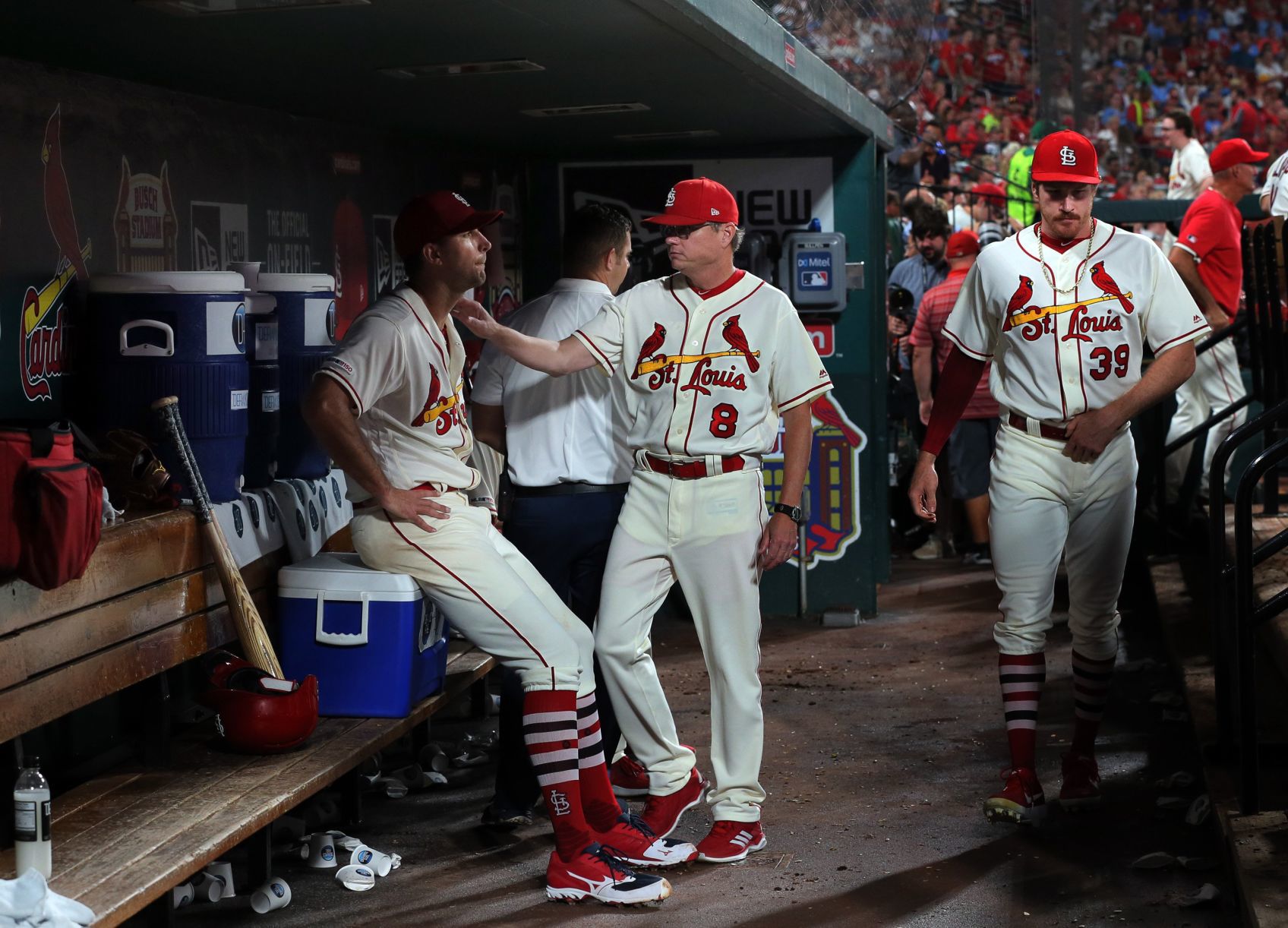 Chicago Cubs vs St. Louis Cardinals